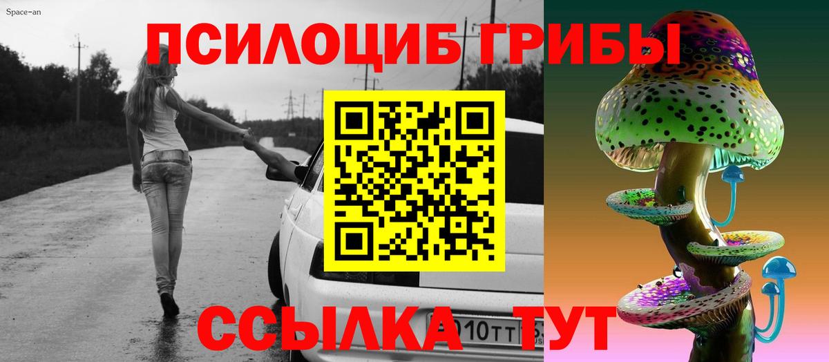 Галлюциногенные грибы мицелий Родники