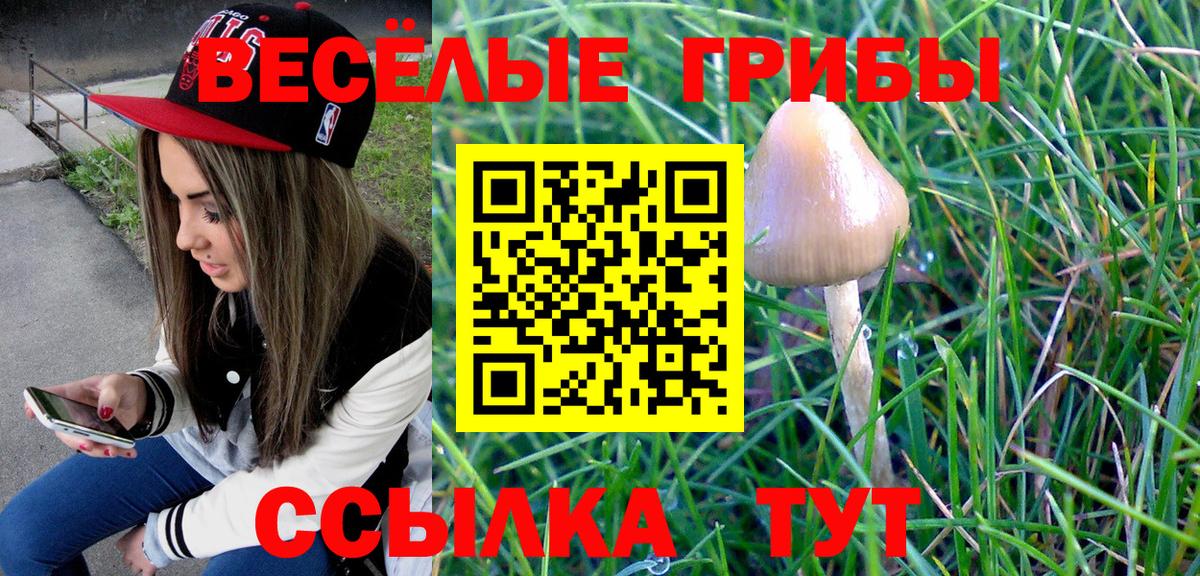 Галлюциногенные грибы мухоморы  Вход с VPN  Родники 